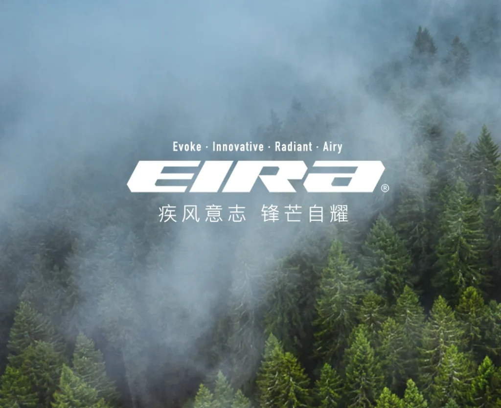 EIRA 灰鸟