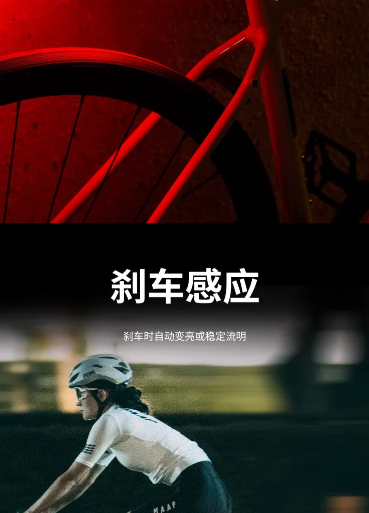 ARGUS 刹车感应示意